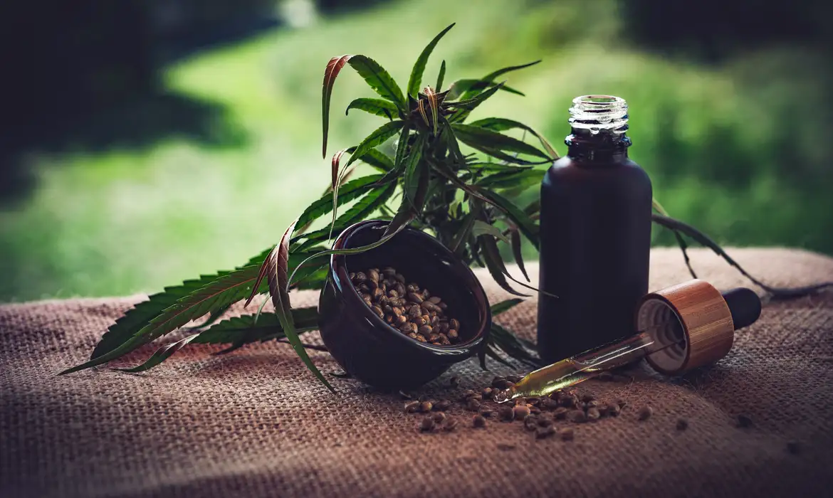 Regulamentação Cannabis Medicinal: Lacunas nas Normas - Imagem do artigo original