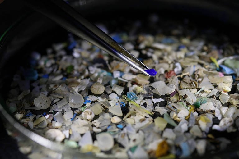 Microplásticos em Casas: Estudos Revelam Alta Concentração - Imagem do artigo original