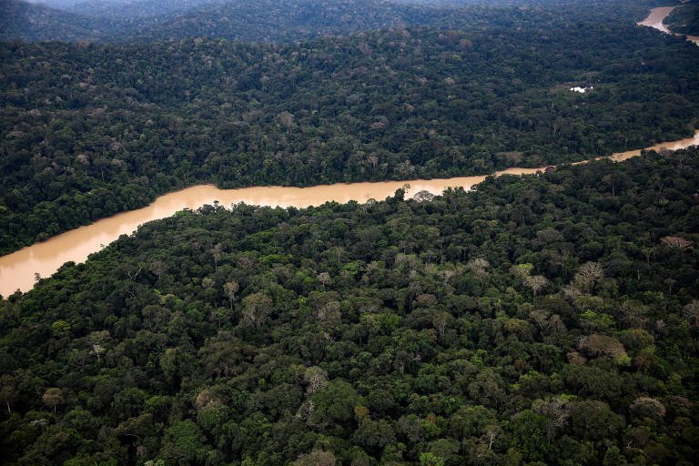 El Niño: Seca e Calor Extremos Alteram Florestas Tropicais - Imagem do artigo original