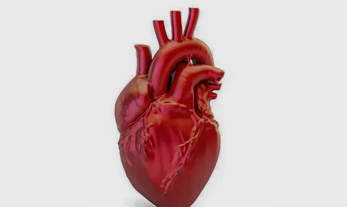 Mortes por Doença Cardiovascular Aumentam no Brasil - Imagem do artigo original