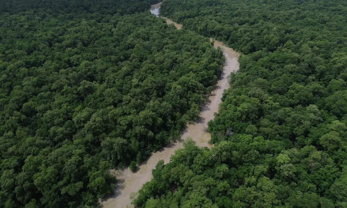 Redução do Desmatamento na Amazônia e Cerrado Atinge Recorde - Imagem do artigo original