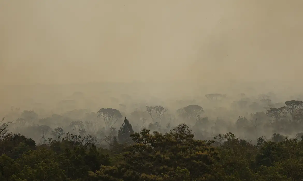 Força Nacional SUS Atua no Amazonas Contra Incêndios - Imagem do artigo original