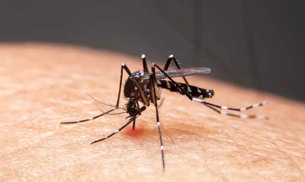 Mudanças Climáticas Elevam Doenças Infecciosas no Brasil - Imagem do artigo original