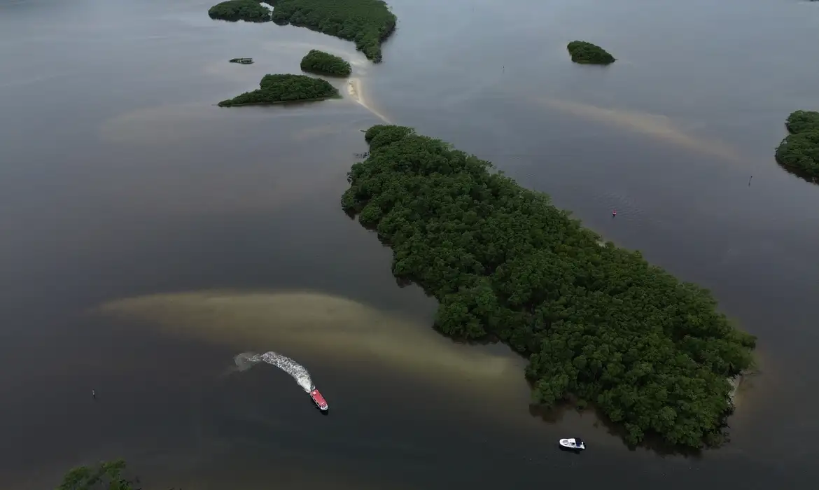 Crise da Biodiversidade: Ações de Países São Insuficientes 2 Crise da Biodiversidade: Ações de Países São Insuficientes - Imagem do artigo original