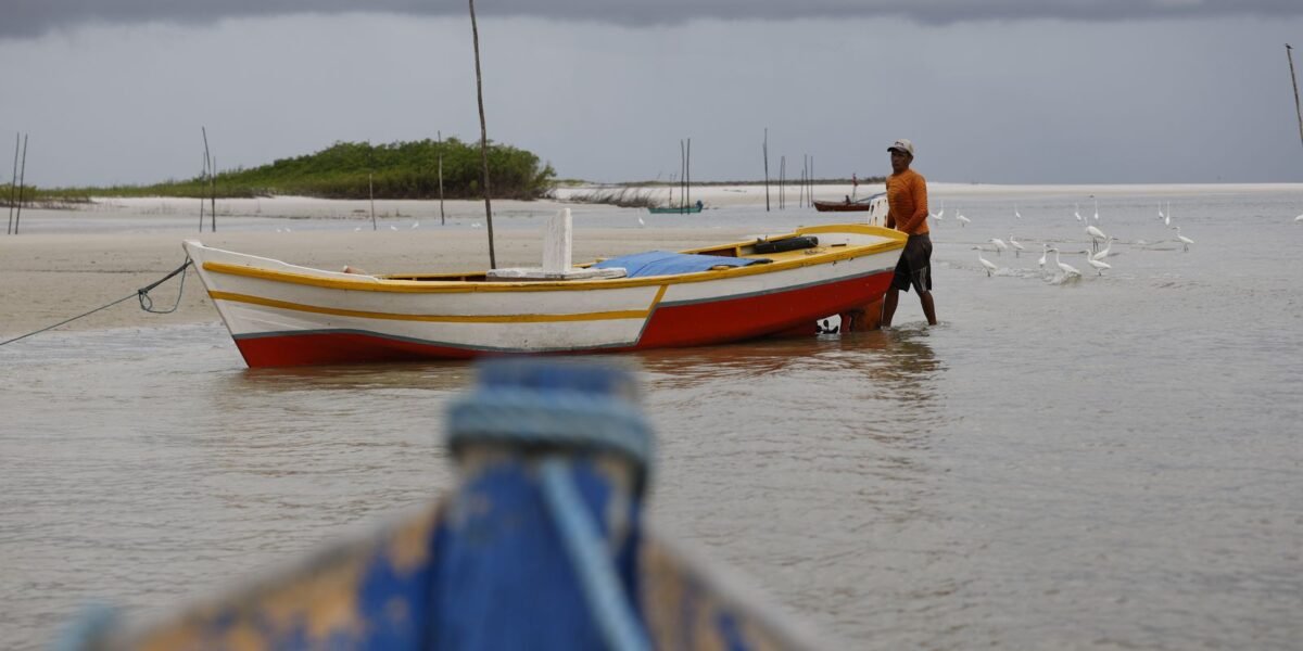 PF impede desvio de R$ 10 bilhões no Seguro Defeso no Maranhão 1 rss featured 28670 1793203682